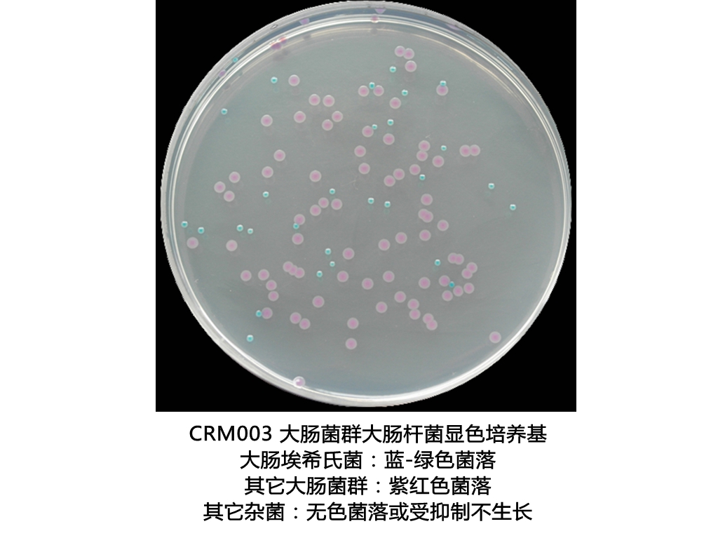 大腸菌群大腸桿菌(ECC)顯色培養(yǎng)基生物圖冊(cè)