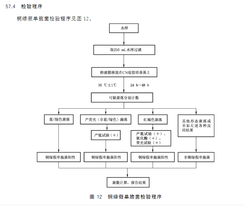 銅綠假單胞菌檢驗(yàn)流程