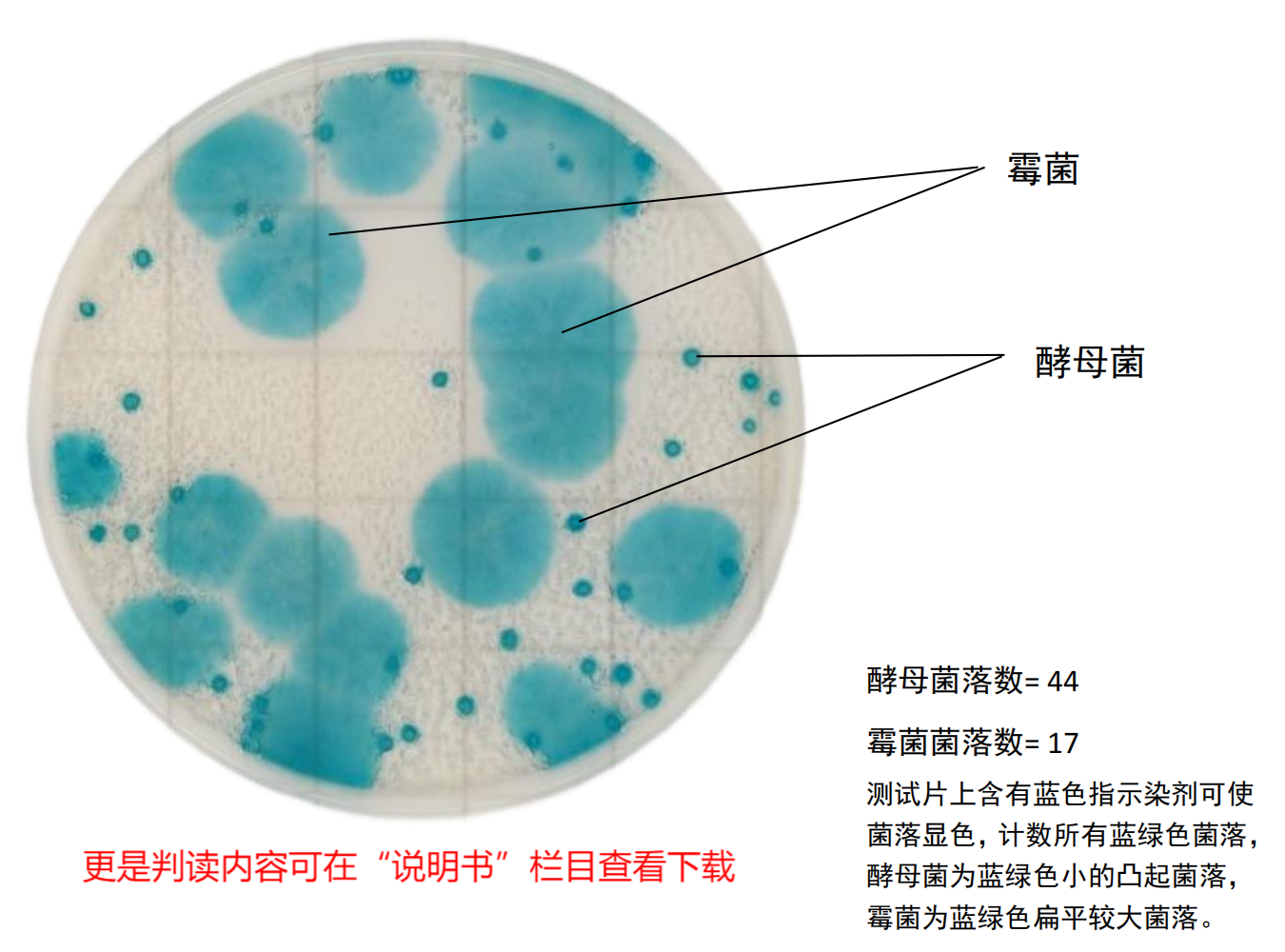 快速霉菌酵母測(cè)試片判讀手冊(cè)