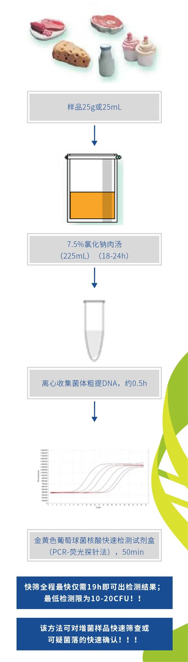 金黃色葡萄球菌實時熒光PCR快檢法