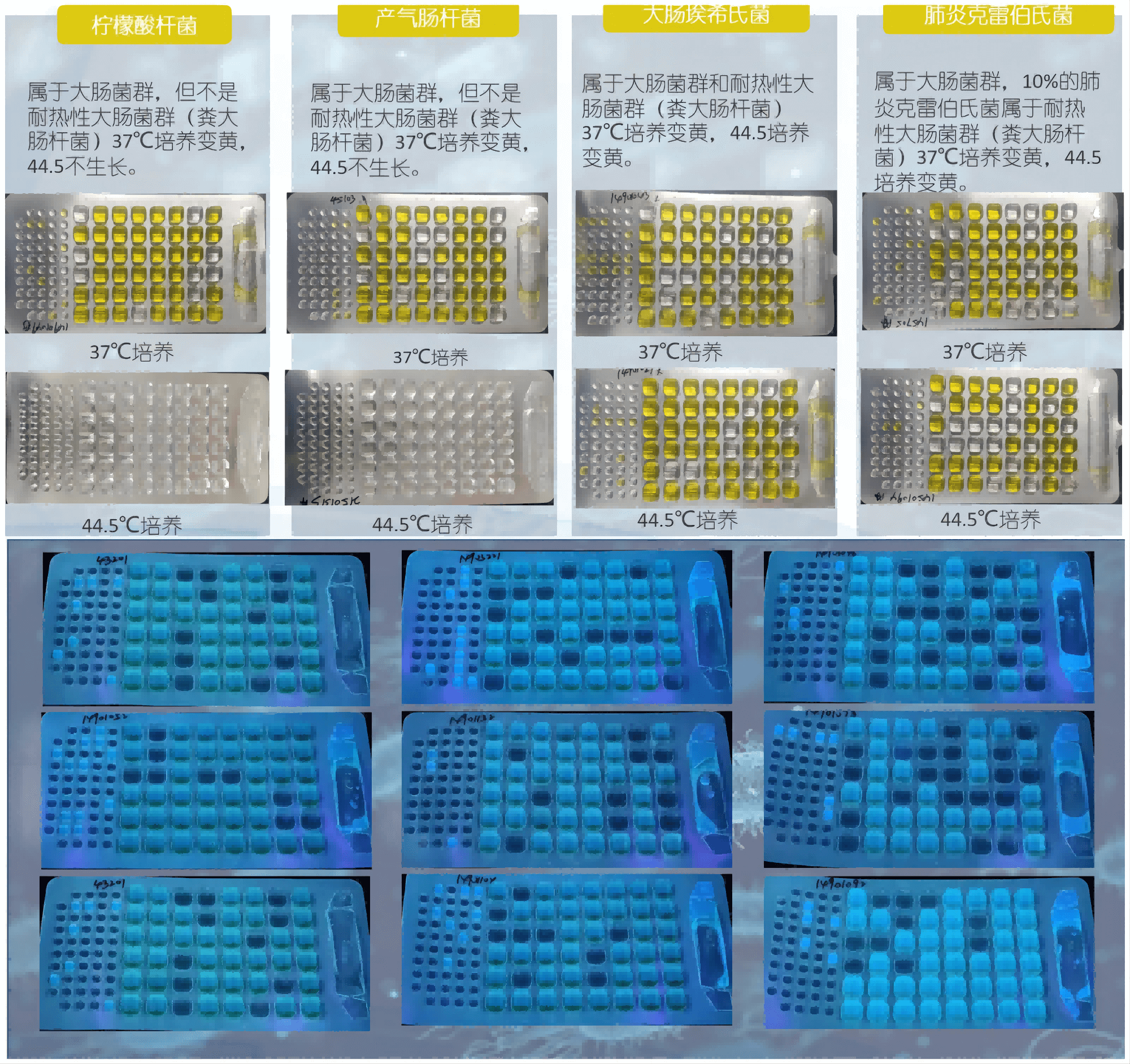 程控定量封口機(jī)結(jié)果判讀