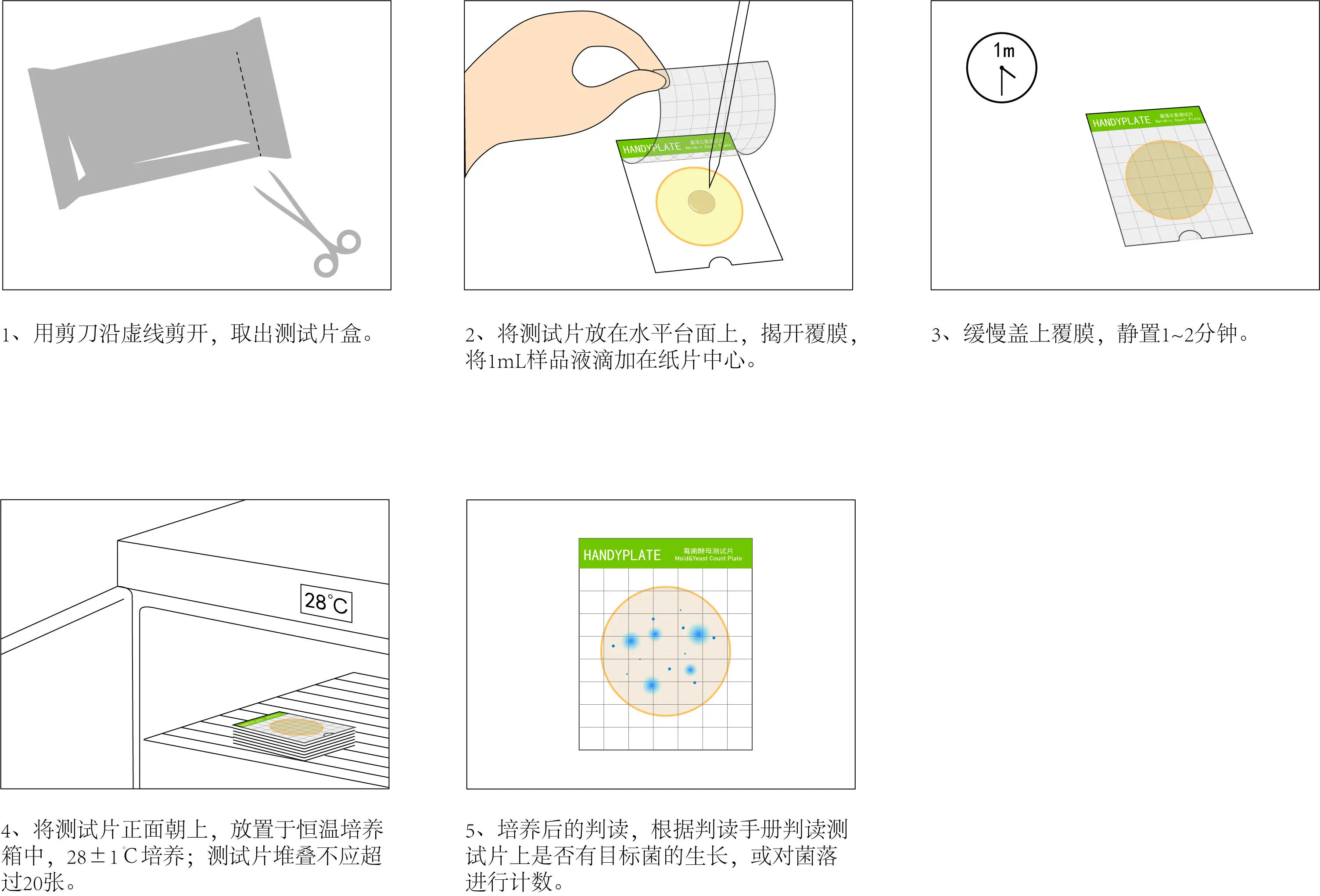 HandyPate®霉菌酵母測試片使用操作教程