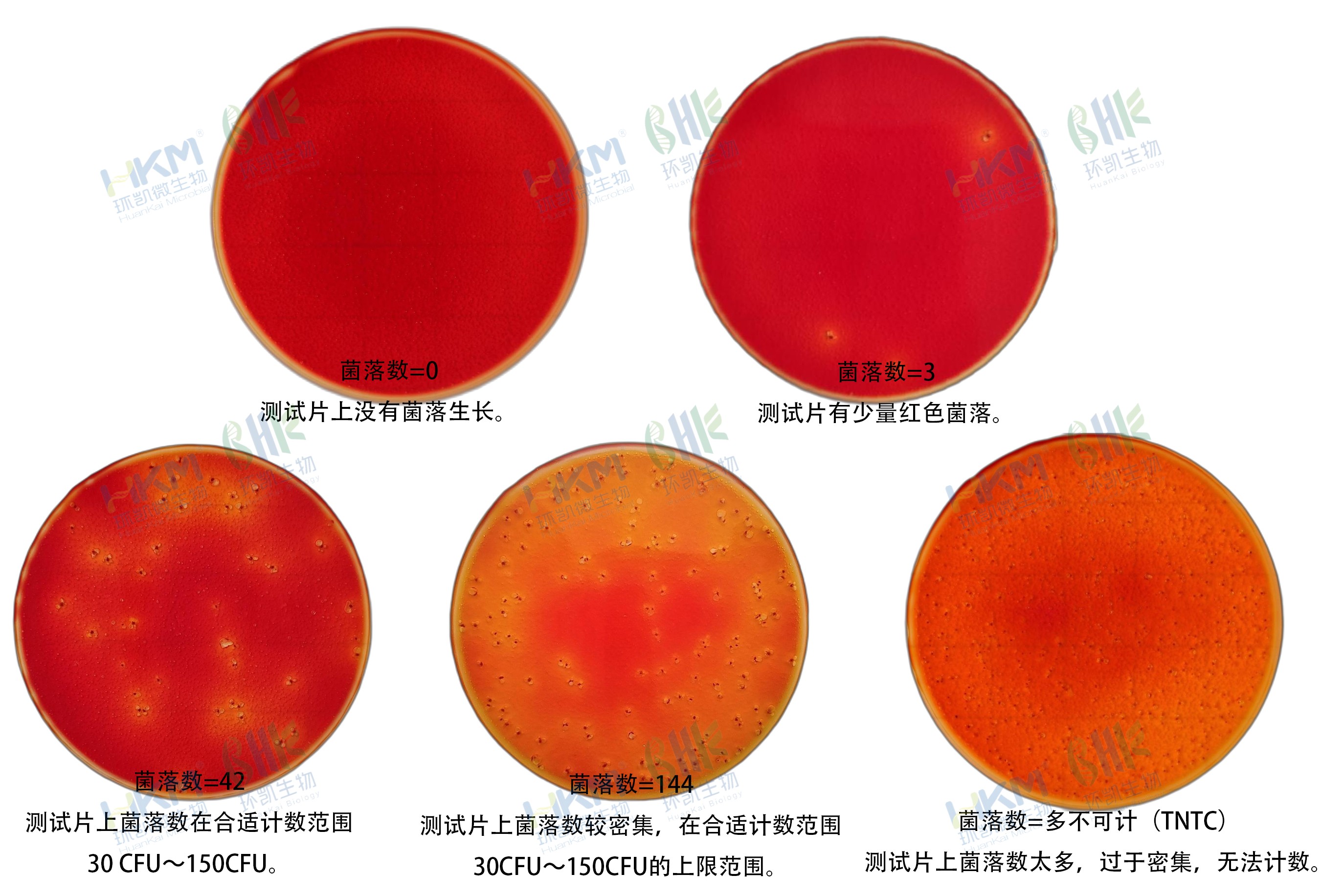 HandyPlate®大腸菌群測試片判讀手冊